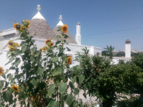 Trullo in piena valle d'itria